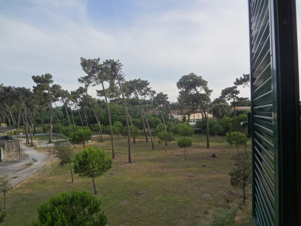 La Pineta Apartment Viareggio Exterior photo